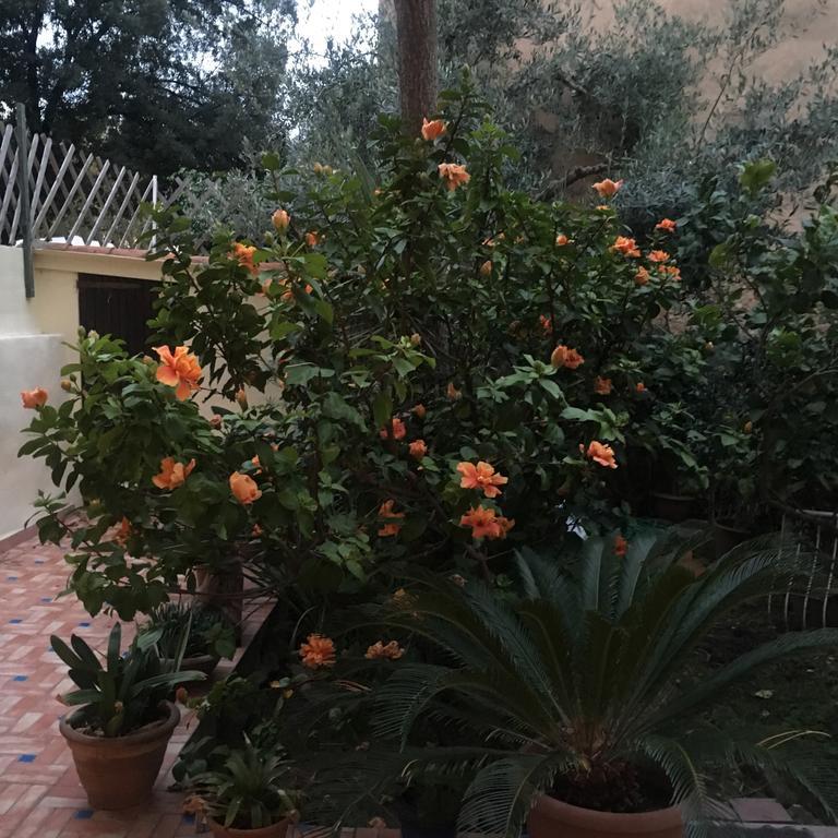 Apartamento Carrer Dels Horts Alguer Exterior foto